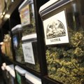 USA Washingtoni osariigis on nüüdsest lubatud marihuaana omamine