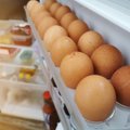Ekspert selgitab: miks ei tohi mune säilitada külmkapi ukse sees oleval riiulil