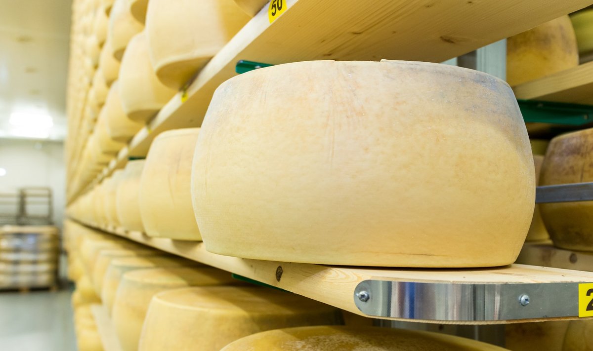 Alma Võru juustutööstus