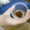 Эстонское пиво и пивоварня вошли в число лучших в мире