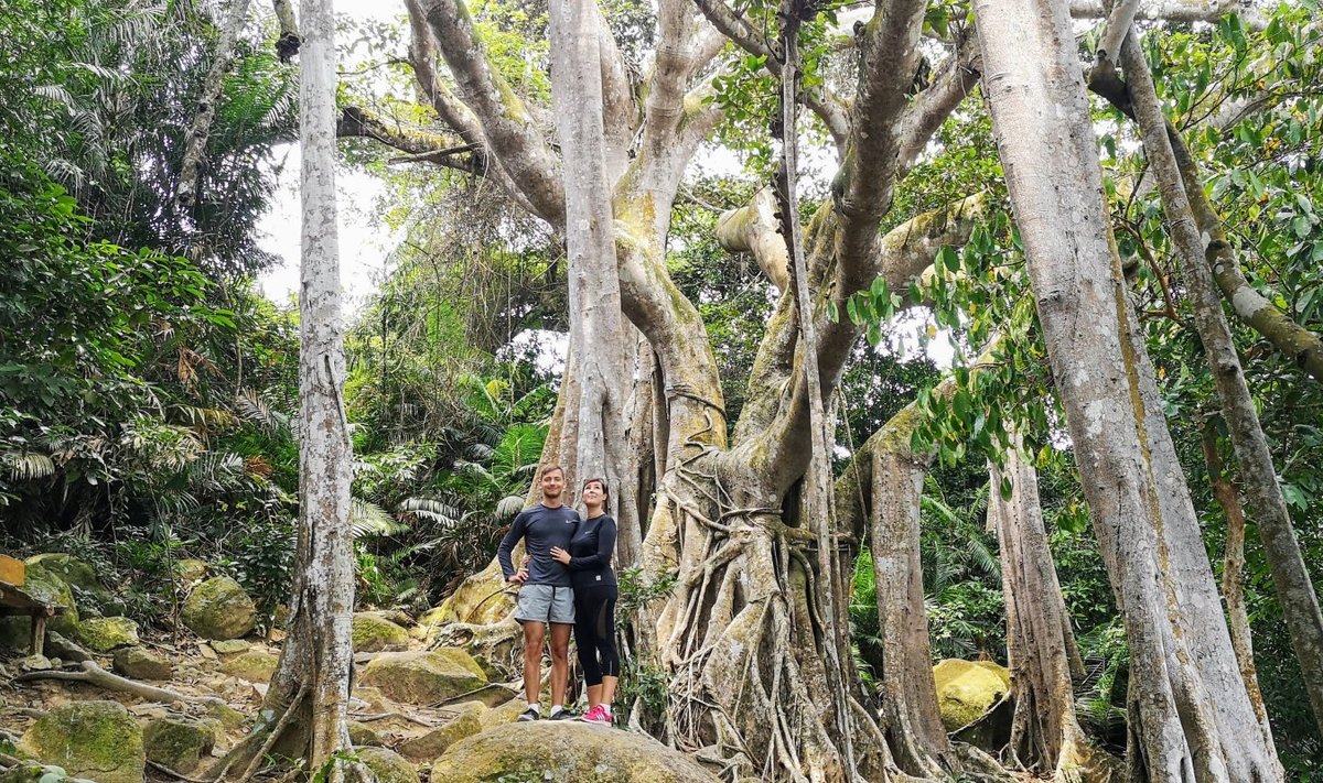 Märt ja Sandra Son Tra poolsaarel 800-aastase Banyan puu taustal