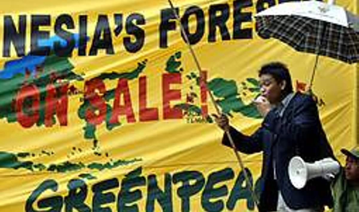 GREENPEACE ROHELISE ENERGIA VASTU! Jaanuarikuine Greenpeace’i meeleavaldus Jakartas kava vastu raiuda maha Indoneesia metsad ja kuivendada sood euroliidu biokütuse kasvatamise tarbeks. AFP