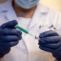 Проживающих в Эстонии граждан РФ приглашают вакцинироваться от коронавируса в Ленобласть