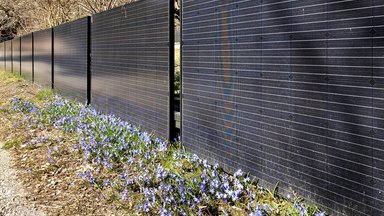 FOTOD | Päikesepaneelid on nii odavad, et neid kasutatakse juba aiapiiretena