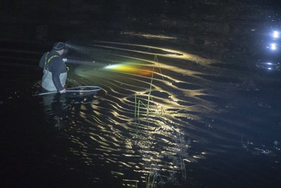 Ühtegi röövpüüdjat me ei tabanud, aga rääkisime kohaliku kalamehega, kes enda sõnul käis joa alla kinni jäänud kalu tagasi vette suunamas, päästmas. Kui tõene see jutt on, teab kalamees ise.