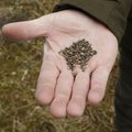 Amet tuletab meelde: Venemaalt ei ole lubatud põllukultuuride ja köögiviljade seemneid Eestisse tuua