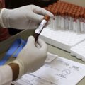 Вакцина от вируса Зика может быть готова в течение года