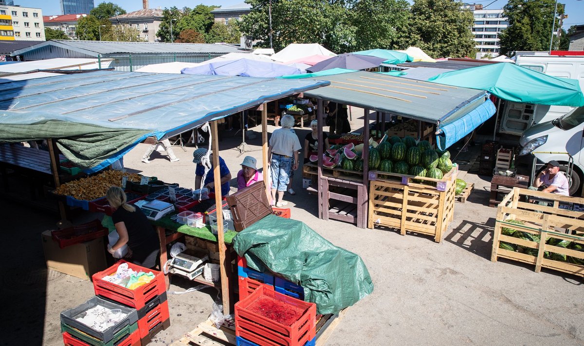 Keskturu liha ja kala müügitingimused ostma ei meelita, kuid marjad, puu- ja köögivili on linna turgude soodsaimad.