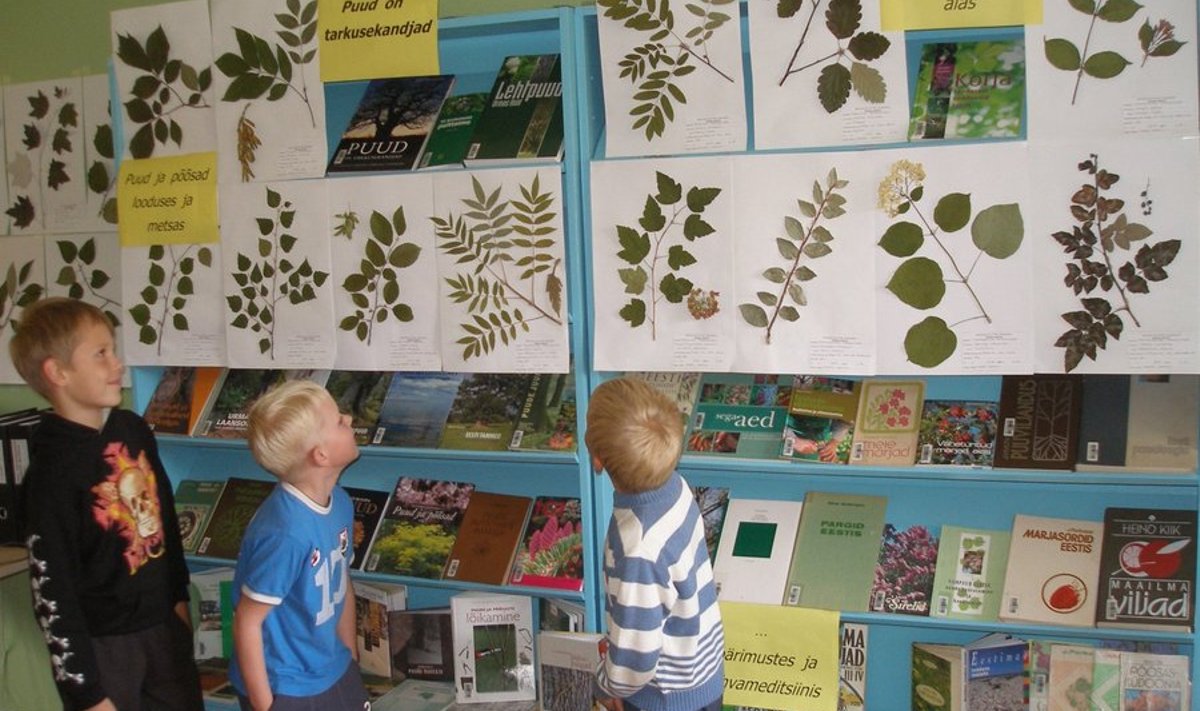 Raamatukogus üles seatud herbaariumi uurivad fotol kohalikud koolipoisid. Foto: Ilme Säde