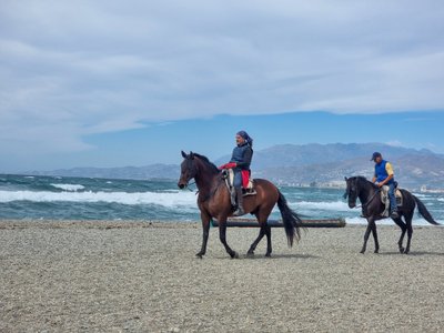 Ühel tuulisel hommikul sammusid Torrenueva randa hobustel ratsanikud, kes ühtlaselt hallikas-sinaka mere ja pilvise taeva taustal nägid nii ilusad välja nagu oleksid nad mõnelt maalilt välja kukkunud.