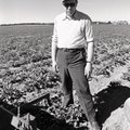 Endel Liebergi kolhoosi käisid imetlemas USA farmerid