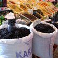 7. päev: Batumi botaanikaaed ja kartulikotiga müüdav must tee