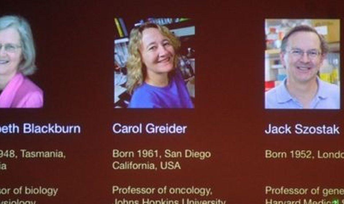 Nobeli meditsiinipreemia pälvinud Elizabeth Blackburn, Carol Greider ja Jack Szostak