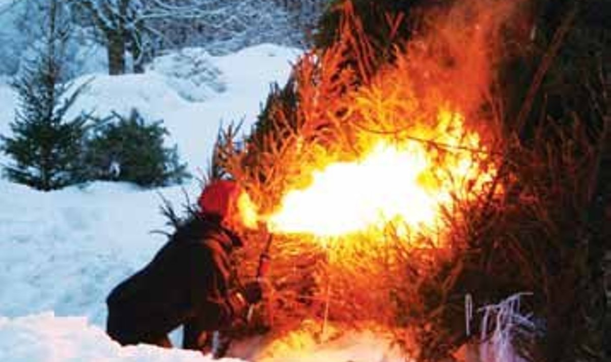 Jõulukuuskedest lõkke süütamine. Jonnakad kuused panid hoolimata kõigi tulepuhujate pingutustest ja pealtvaatajate ergutustest visalt vastu. (foto: Katrin Romanenkov)