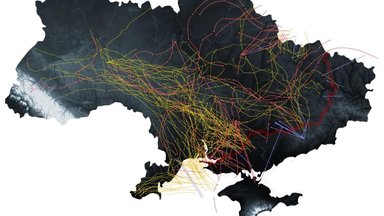SÕJAPÄEVIK (653. päev) | Soome vabastas vangist neonatsist Vene sõduri, keda ei andnud Ukrainale välja