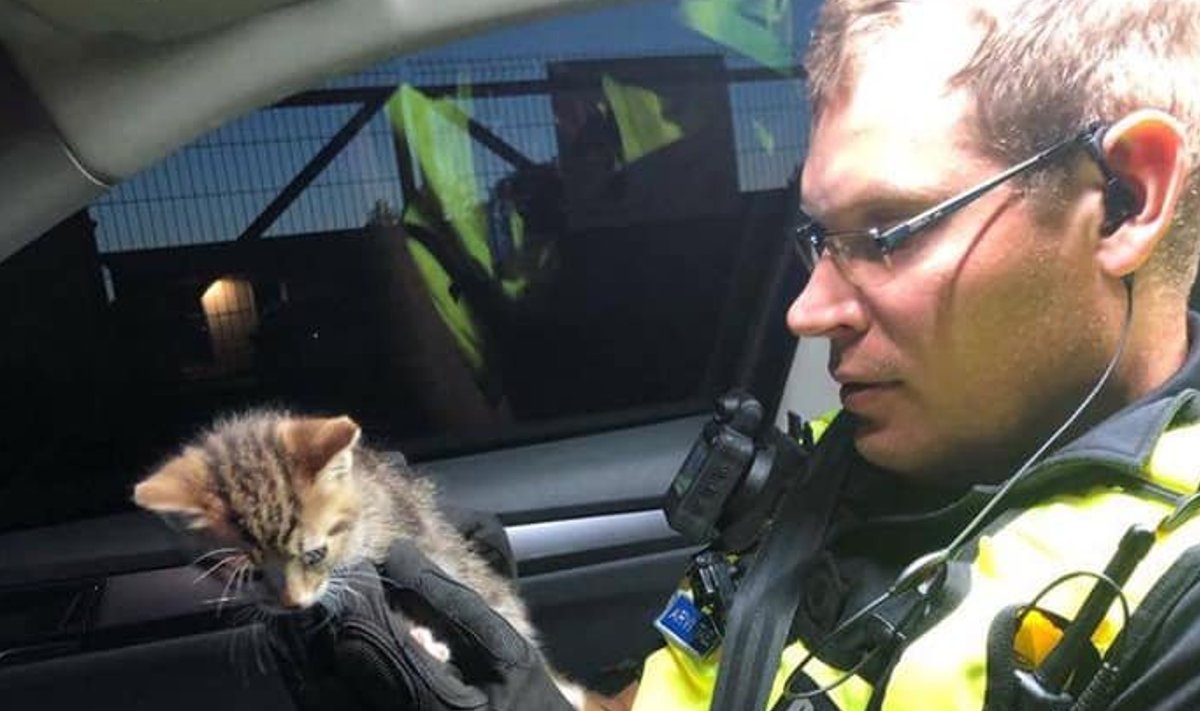 Pärnu patrullpolitseinik kassipojaga