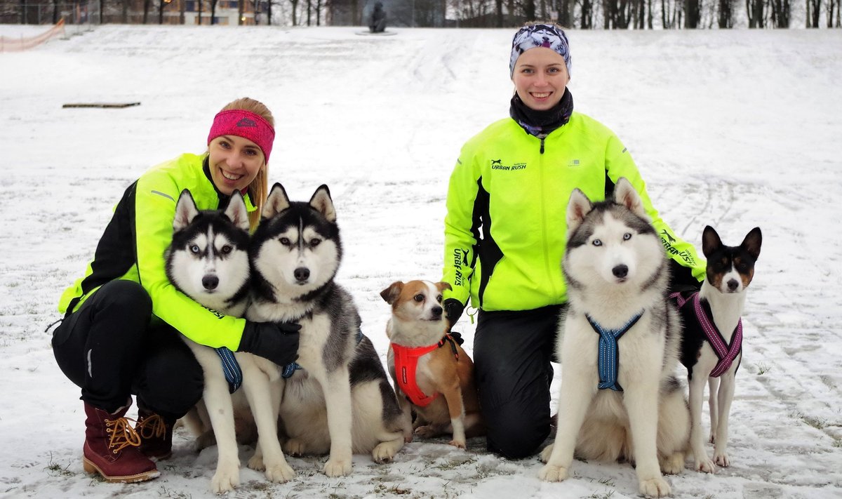 Vasakult Kadi Keskpalu koertega Sparky ja Lisa ning Kairi Zvirik koertega Tiit, Nora ja Kali. &nbsp;