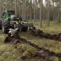Valitsus: üleüldine kevadine raierahu Eesti metsades ahistab väikeomanikku