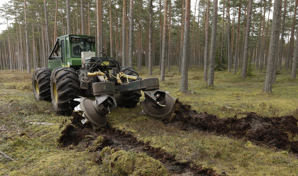 RMK tegeleb praegu riigimetsas kehtiva raierahu ajal metsauuendustöödega, näiteks uue metsa külvamisega.