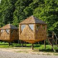 Провести ночь в „гнезде“: необычный кемпинг в Эстонии на территории водного парка