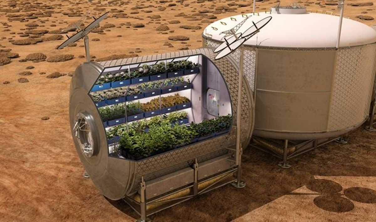 Kunstniku nägemus tulevase mehitatud Marsi baasi viljaaiast. NASA plaanid näevad ette astronautidele hädavaliku värske toidu kasvatamist nii kosmoselaevades kui teistel planeetidel. (Foto: NASA/Wikimedia Commons)