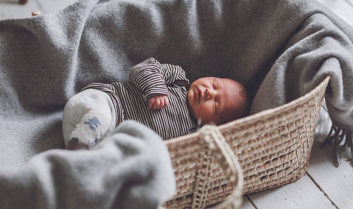 Fotograaf Nele pojale Ottole meeldis vastsündinuna magada korvis. Seda sai vajaduse korral liigutada, ent nii oli koht beebile ärgates alati tuttav.