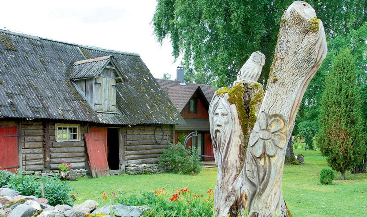 Vanast saarepuust meisterdas kunstnik Ott Olesk skulptuuri, taamal on renoveeritud viljaait ja tööjärge ootav kunagine kolhoosi hobusetall.