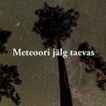 VIDEO: Eesti fotograafil õnnestus jäädvustada meteoorijälg