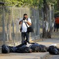 Mehhiko kirdeosast leiti 14 jäsemeteta laipa