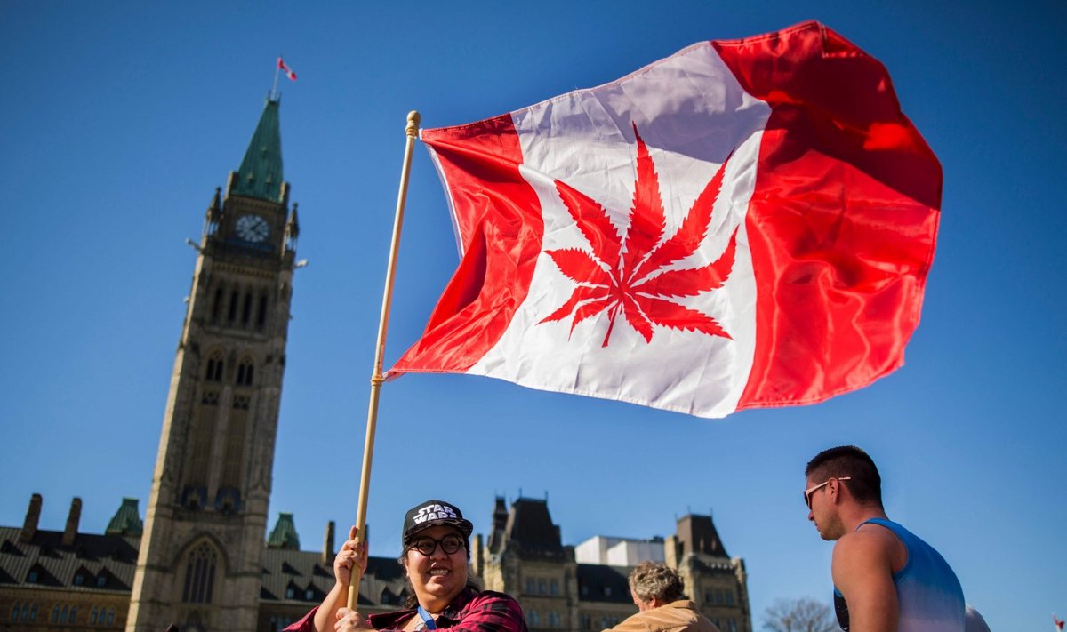 Ottawa parlamendihoone ees tähistati eile "riiklikku kanepipäeva". Samal päeval teatas valitsus ÜRO-s, et liigub legaliseerimiseelnõuga edasi.