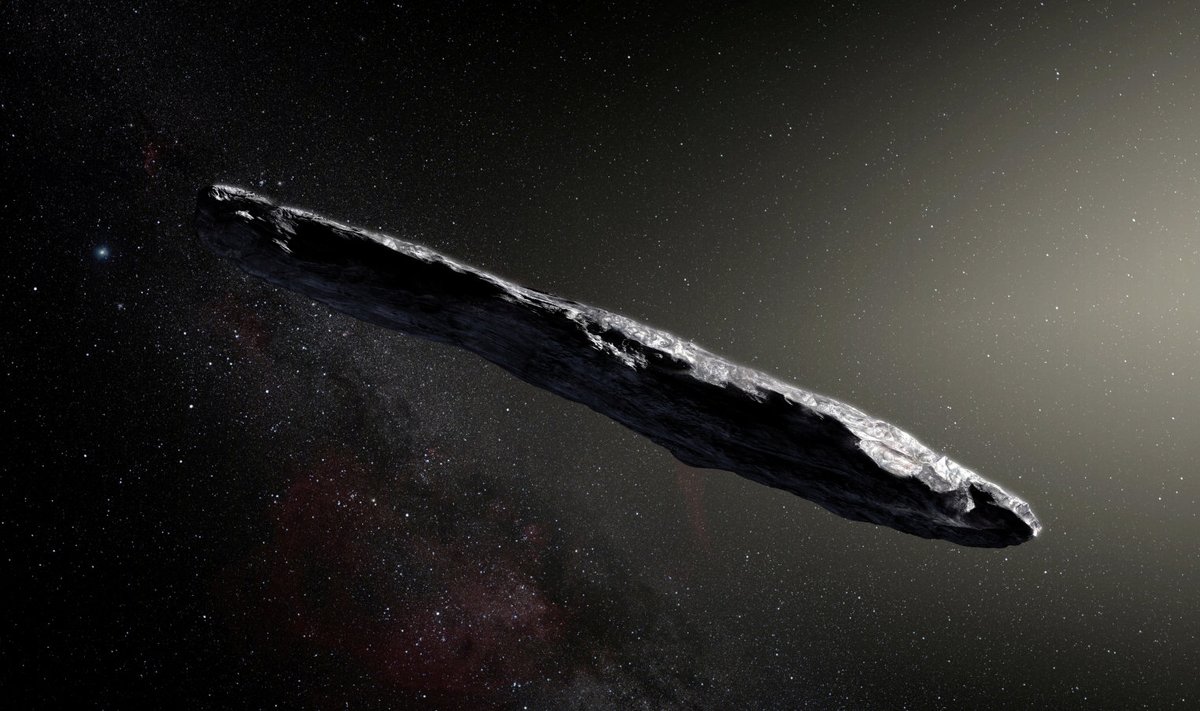 Kunstniku nägemus Oumuamuast. 