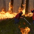 Eestlane Portugalis: kohalikud isegi ei reageeri enam tulekahjudele
