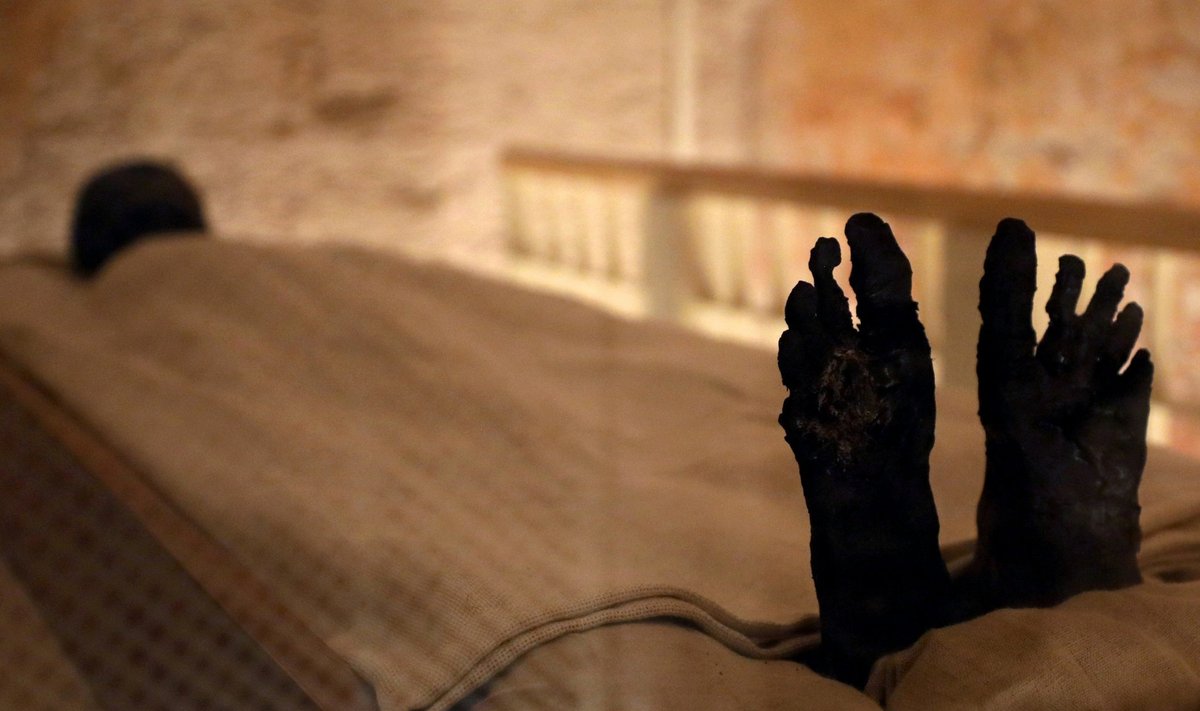 Мумию Тутанхамона показали после реставрации гробницы