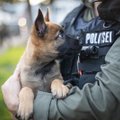 ФОТО | В рядах полиции очередное пополнение — щенок Сям!