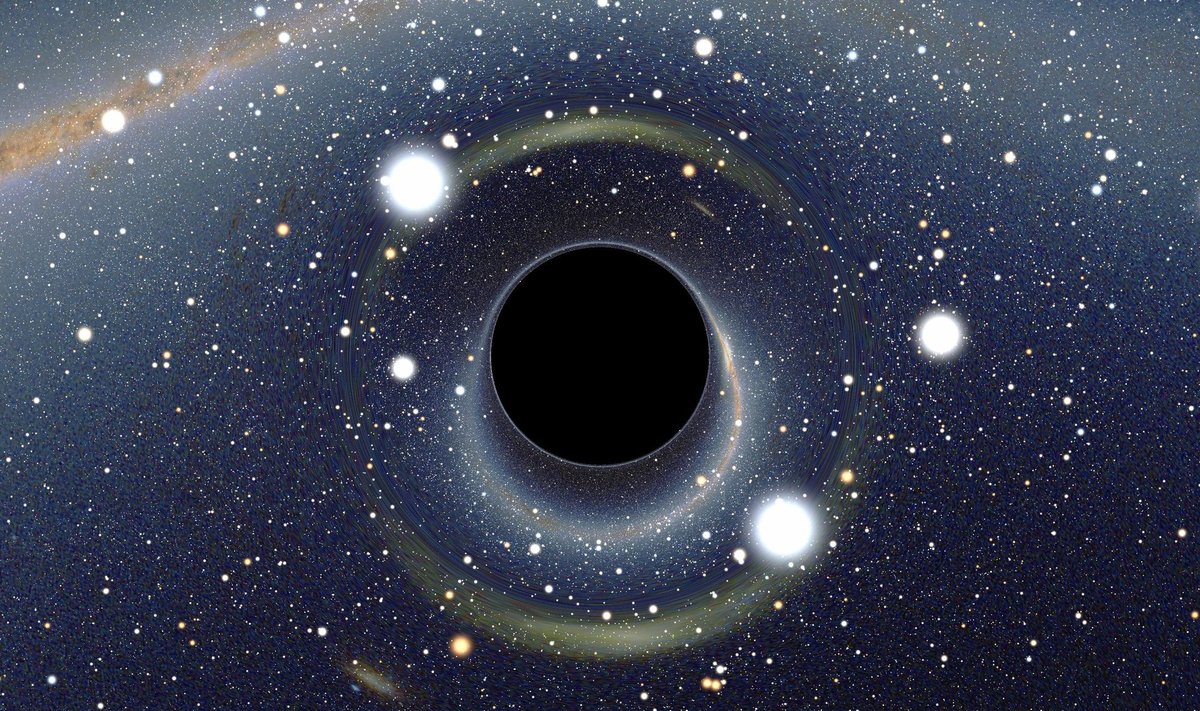 Must auk. Kujutis on illustratiivne