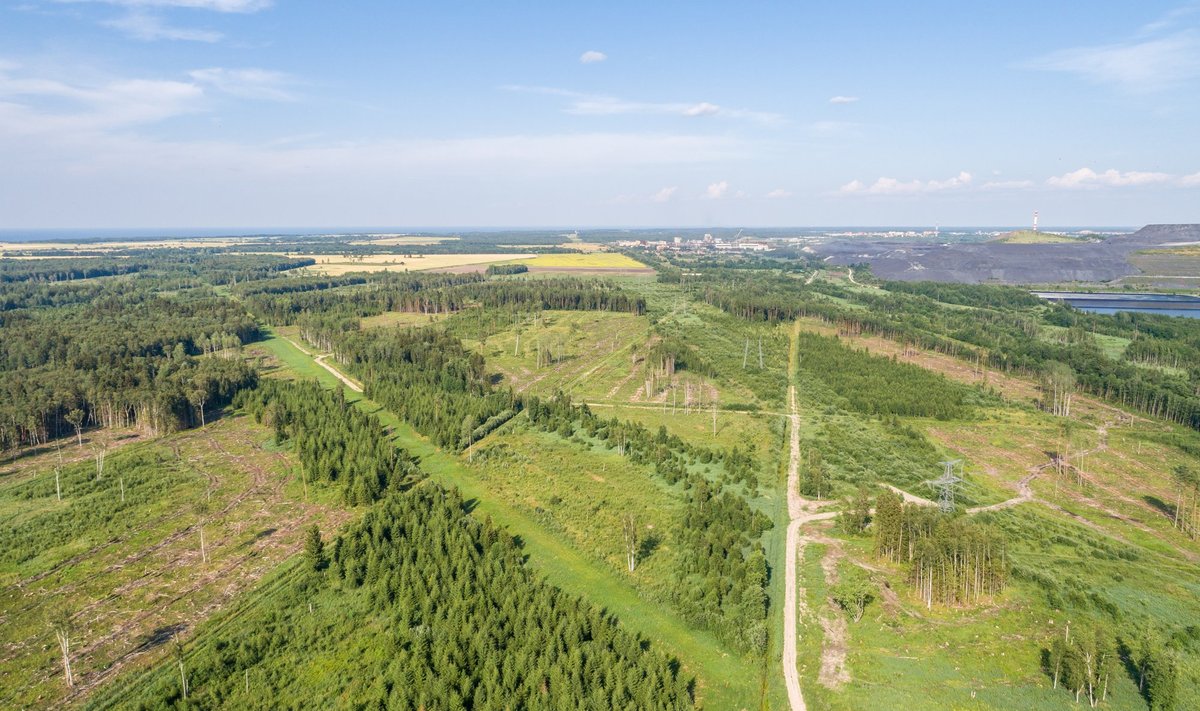 Siia Kohtla-Järve külje alla võib tulla uus suurtootmine.