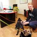 FOTOD | Põhja-Tallinna vanem sai loomade abistamise eest uhke preemia