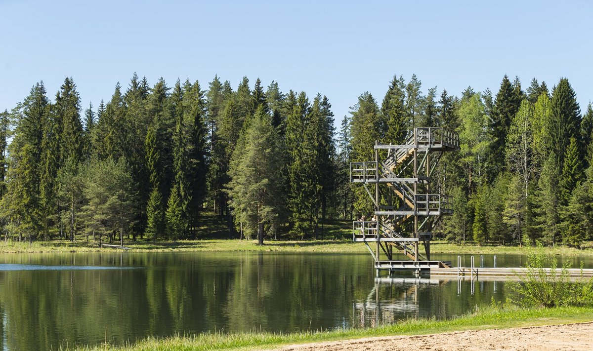 Tõrva Vanamõisa järve hüppetorn