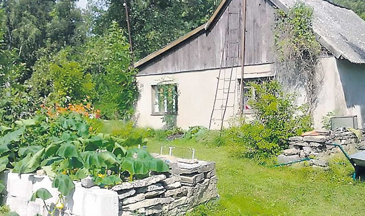Saaremaal Kaarma vallas on müügil niisugune talu, hind 15 000 eurot.