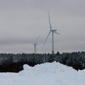 Главный экономист Luminor: если у нас не будет достаточно зеленой электроэнергии, в Эстонию не придут новые отрасли и богатство до нас не дойдет
