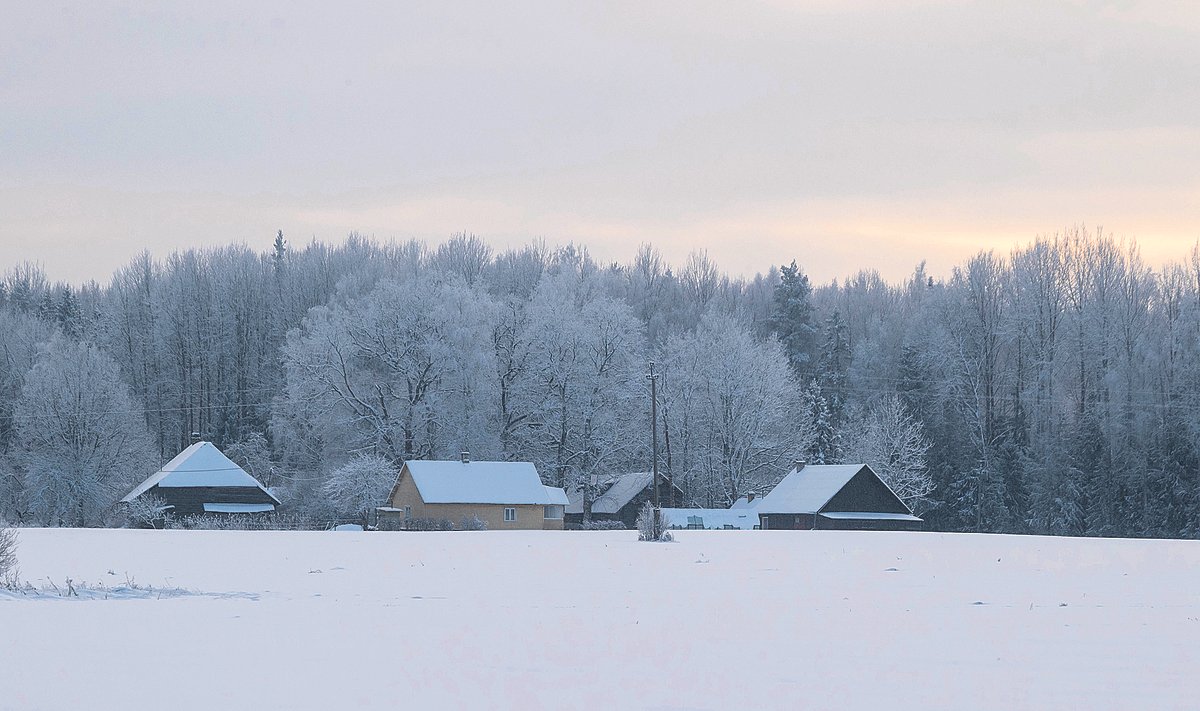 Kogu Euroopas on selle talve algus viimase kümmekonna aasta lumiseim.
