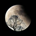FOTO | NASA uurimissond pildistas Kuu lähedal „surfilauda“