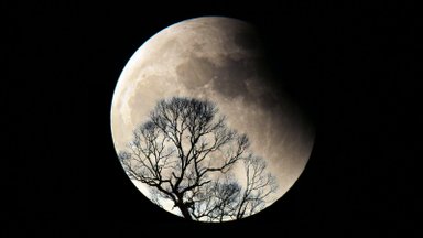 Сегодня вечером произойдет редкое лунное затмение. Можно ли будет наблюдать его в Эстонии?
