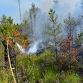 Eesti metsades valitseb ülisuur tuleoht