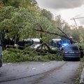 Синоптики вынесли для всей Эстонии штормовое предупреждение