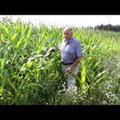 VIDEO: Agronoom PEETER ALEP juhib tipptasemel piimatootmisfirmat