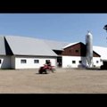 VIDEO: Margot Saare käe all kosuvad lehmad, kanad ja jaanalinnud