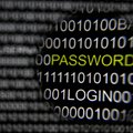 NYT: USA alustab esimest küberoperatsiooni Venemaa vastu eesmärgiga kaitsta valimisi
