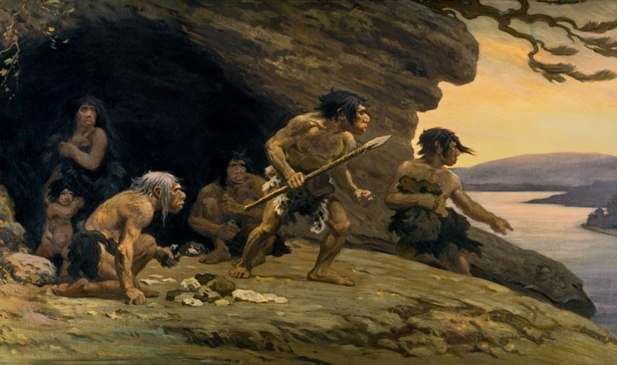 Neandertallased