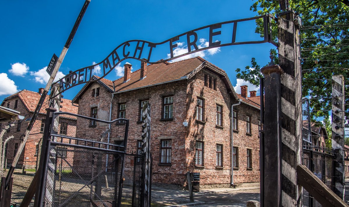 Auschwitzi koonduslaager